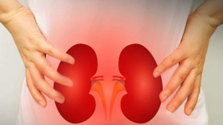 5vsh28fo_kidney_625x300_04_November_24.jpg