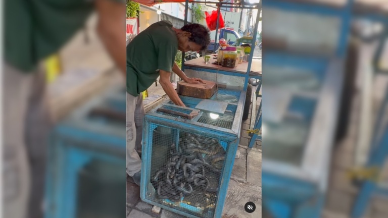 egfvjc6o_indonesia-snake-snack-video_625x300_30_December_24.jpg